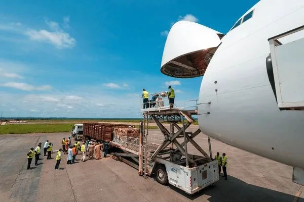 Air freight logistics cargo loading